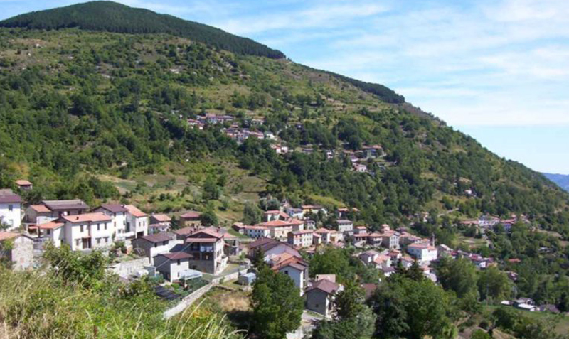 ceci